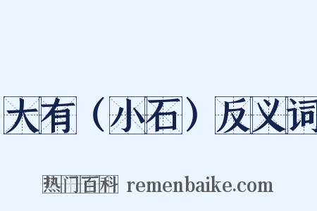 大有（小石）反义词是什么意思的图片